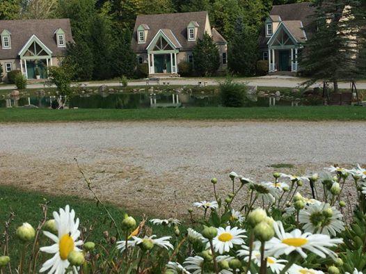 Spruce Hill Inn & Cottages Mansfield Kültér fotó
