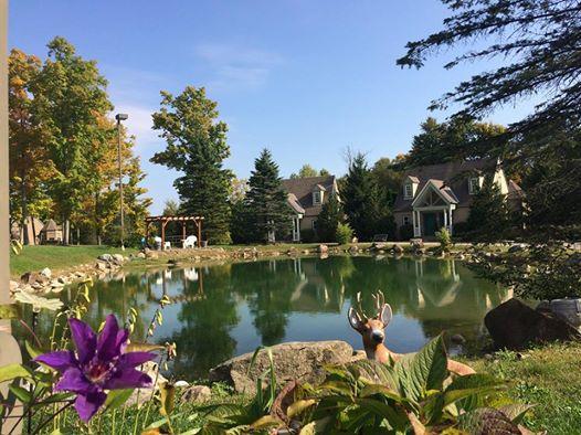 Spruce Hill Inn & Cottages Mansfield Kültér fotó