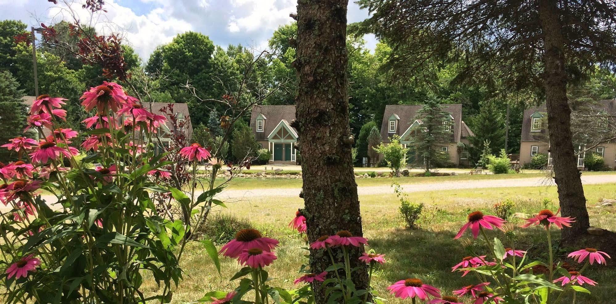 Spruce Hill Inn & Cottages Mansfield Kültér fotó